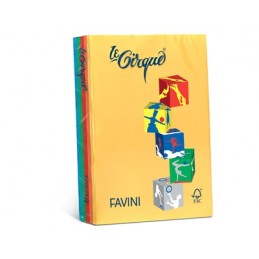 LE CIRQUE A4 GR.80 FORTI 500FG