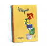 LE CIRQUE A4 GR.80 FORTI 200FG