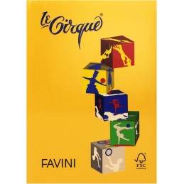 LE CIRQUE A4 GR.80 ORO FG.500